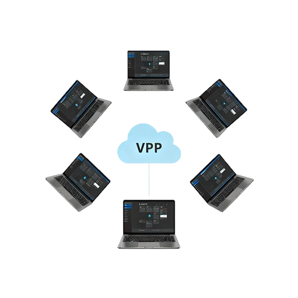VPP